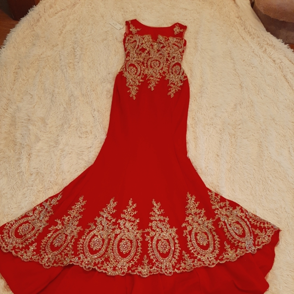 Evening gown/ prom dress